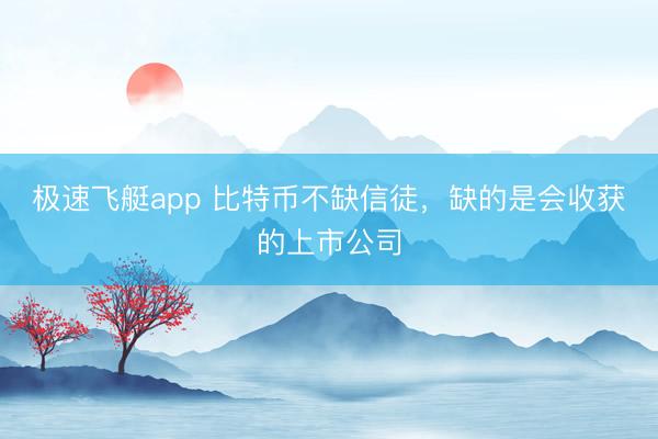 极速飞艇app 比特币不缺信徒，缺的是会收获的上市公司