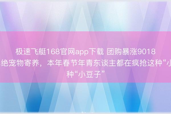 极速飞艇168官网app下载 团购暴涨9018%，卓绝宠物寄养，本年春节年青东谈主都在疯抢这种“小豆子”